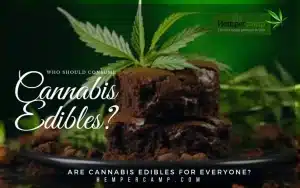 Are Cannabis Edibles for Everyone?